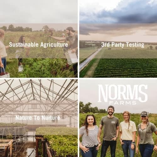 Norm’s Farms Pure Elderberry Extract - Made from Only Elderberries in USA - Immune, Antioxidant Support, No Added Sugar, Additives, Vegan, Gluten-Free, Non-GMO, Elderberry Tincture Alcohol Free - 8 Oz