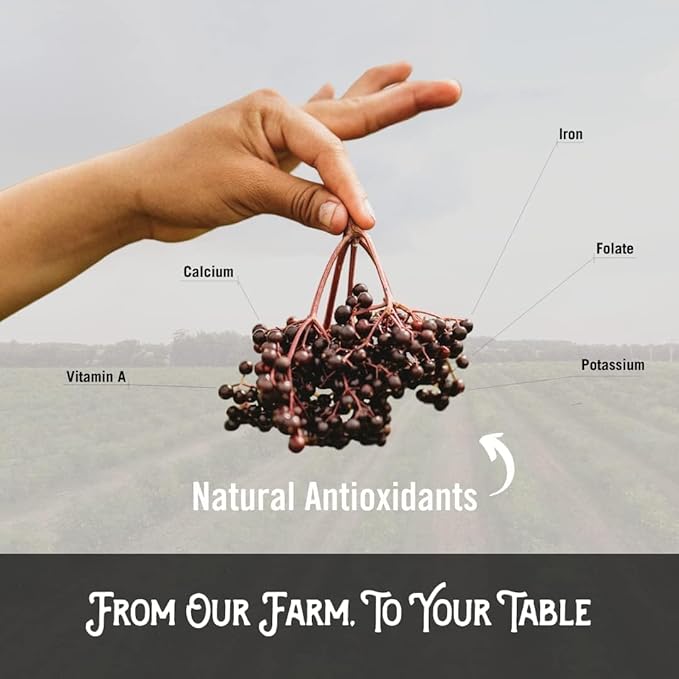 Norm’s Farms Pure Elderberry Extract - Made from Only Elderberries in USA - Immune, Antioxidant Support, No Added Sugar, Additives, Vegan, Gluten-Free, Non-GMO, Elderberry Tincture Alcohol Free - 8 Oz