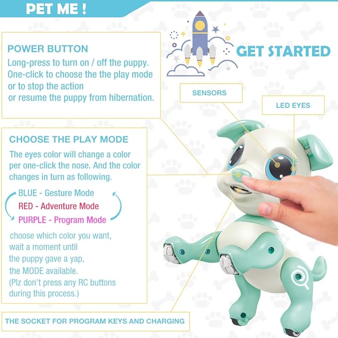 BIRANCO. Interactive RC Dog Toy - Cute Gesture Sensing Puppy for Toddlers, STEM Play, Ideal Holiday/Birthday Gift for 3-8 Year Olds