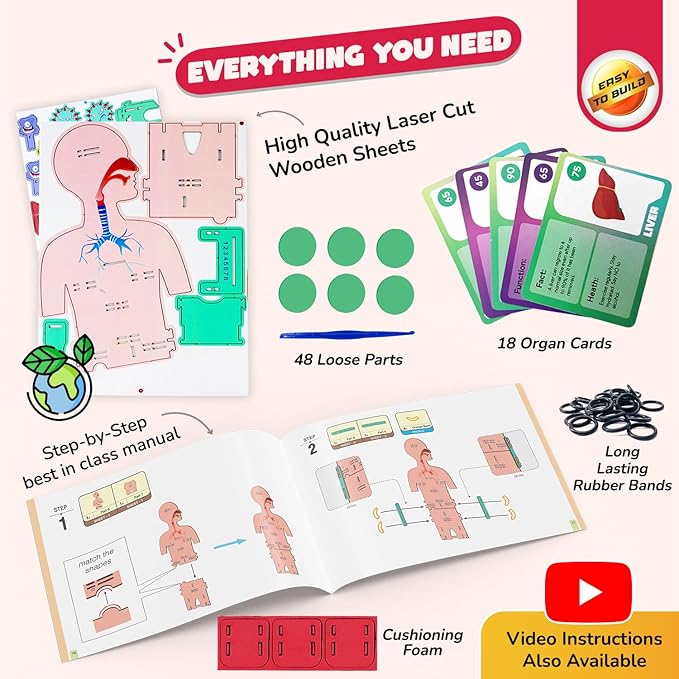 Smartivity Human Body Model for Kids 6-12 Years | Learn Body Organs, Functions with Fun Card Games | Cool Birthday Gift for Boys & Girls | DIY STEM Science Toys for Kids 6,7,8,9,10,11,12 Years I