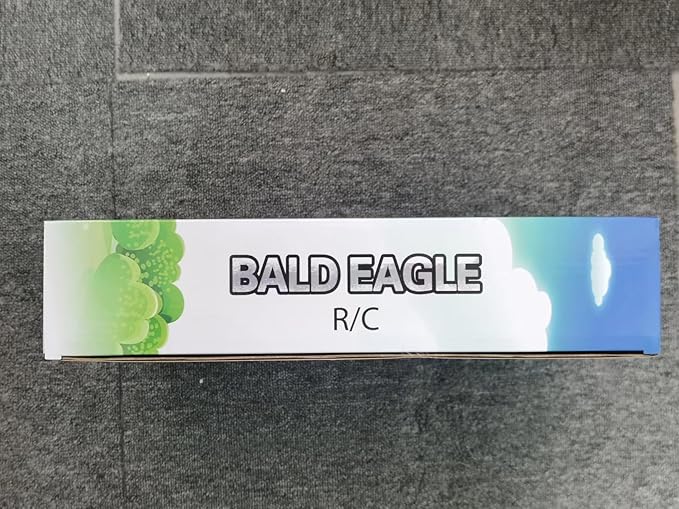 HAWK'S WORK RC Eagle, 2 CH RC Plane Ready to Fly, 2.4GHz Remote Control Airplane, Easy to Fly RC Glider for Kids & Beginners