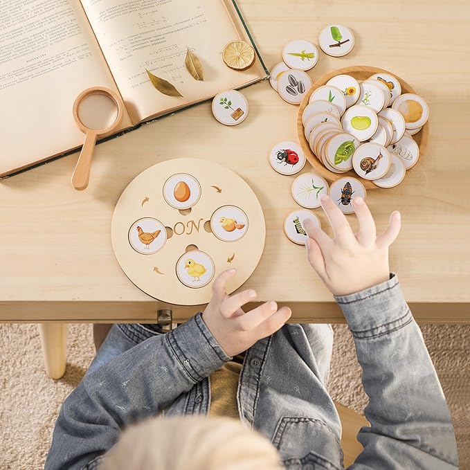 Wooden Life Cycle Tray for Kids - Frogs, Butterflies, Chickens, 40 Pieces - Preschool Learning Activities Puzzle Board, Toddlers Education Kit, Classroom Toys for Boys and Girls