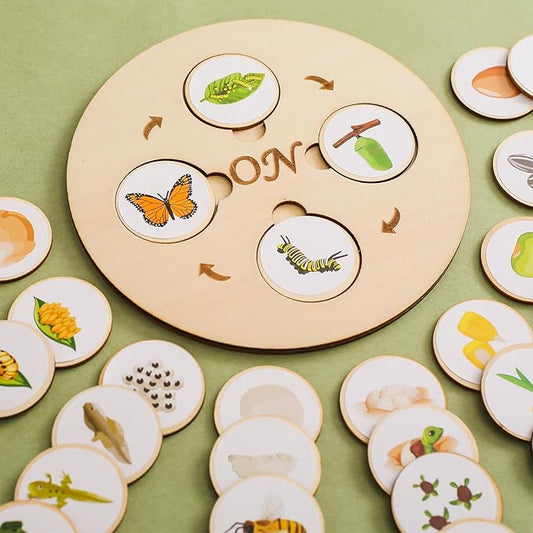 Wooden Life Cycle Tray for Kids - Frogs, Butterflies, Chickens, 40 Pieces - Preschool Learning Activities Puzzle Board, Toddlers Education Kit, Classroom Toys for Boys and Girls