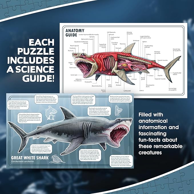 Shark Animal Anatomy Floor Puzzle | 100-Piece Double Sided Jigsaw Puzzle | Large Floor Puzzles for Kids Ages 4-8, 3-5, 8-10 | Fun and Educational Toy for Kids, Toddlers and Families