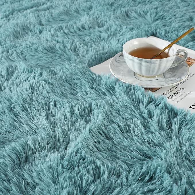 Ompaa Ultra Soft Fluffy Bedroom Rugs Memory Foam Carpet, 6x9 Feet Dark Cyan Area Rugs, Shaggy Living Room Rug Fuzzy Accent Carpets for Kids Girls Rooms, Modern Apartment Dorm Indoor Home Decor