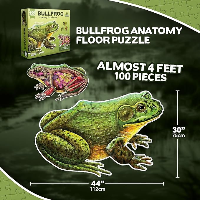 Bullfrog Animal Anatomy Floor Puzzle | 100-Piece Double Sided Jigsaw Puzzle | Large-Sized, Over 4 Feet Scientifically Accurate Illustration of Frog - Fun and Educational Toy for Kids, Toddlers
