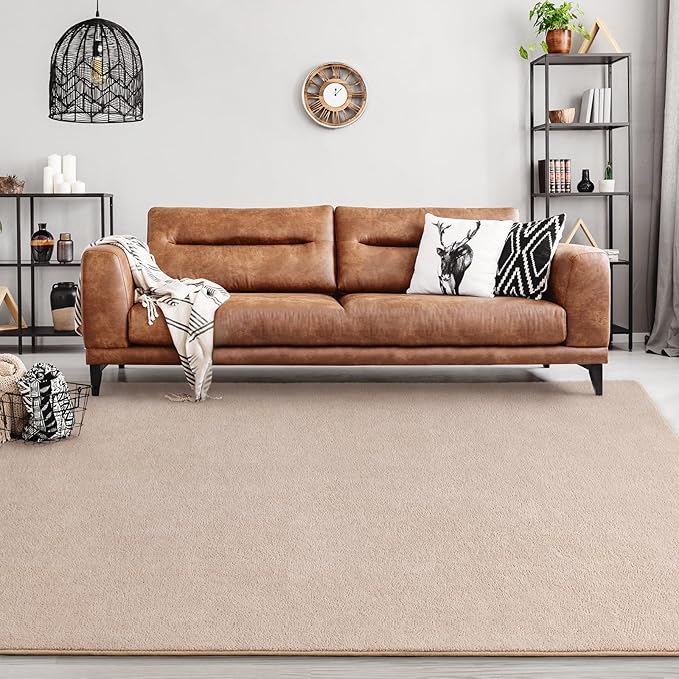 FlyDOIT Area Rugs for Bedroom Living Room, 5x8 Ivory Super Soft Comfy Thickened Memory-Foam Indoor Carpets, Modern Aesthetic Minimalist Carpet for Boys Girls Adults Apartment Nursery Home Décor