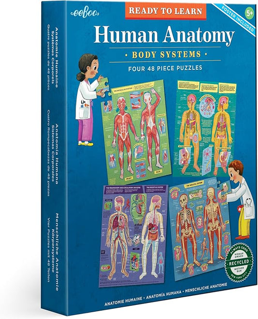 eeBoo: Ready to Learn: Human Anatomy 4-Puzzles - Body Systems Set of 4-48 Piece Jigsaws, Includes Educational Poster, Kids Ages 8+