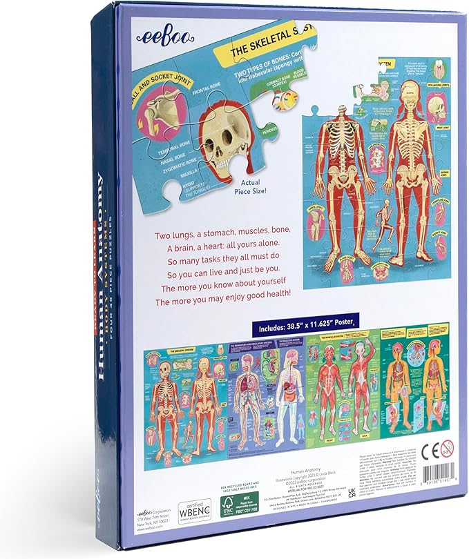 eeBoo: Ready to Learn: Human Anatomy 4-Puzzles - Body Systems Set of 4-48 Piece Jigsaws, Includes Educational Poster, Kids Ages 8+