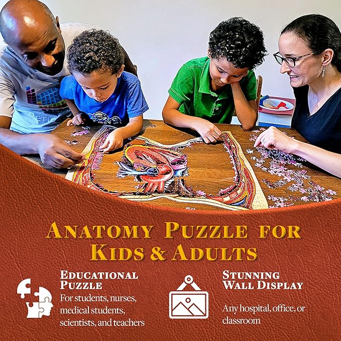 Human Thorax Anatomy Puzzle - Adult Jigsaw Puzzles Unique Gifts for Kids, Nurses, Doctors, Medical Students, Educational Science - 411 Piece Teen Floor Puzzle - Genius Games Dr. Livingston Body Model