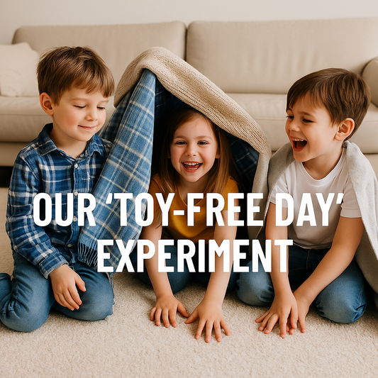 Our ‘Toy-Free Day’ Experiment 🎲✨