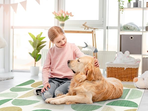 Lahome Boho Area Rug 4x6, Ultra-Thin Green Rug for Living Room, Modern Non-Slip Machine Washable Area Rugs Non Shedding Office Rug for Dining Room Kids Classroom (4x6,Green)