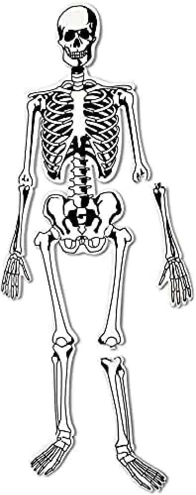 Learning Resources Skeleton Floor Puzzle, Homeschool Accessory, Anatomy Puzzle, Floor Puzzle, 15 Pieces, Ages 3+, Multi-color