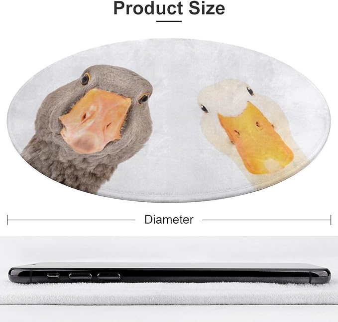 Funny Goose and Duck 3Ft Round Rug Non-Slip Soft Throw Area Rugs,Floor Carpet Mat for Bedroom Living Room Kitchen