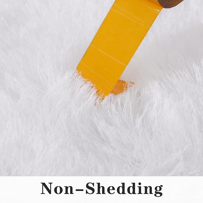 Super Fluffy Area Rug for Bedroom, Modern Shag White Area Rugs, Soft Plush Small Carpet for Kids,Girls Boys and Teens Decorations for Living Room Dorm Nursery Classroom, 5x7 Feet
