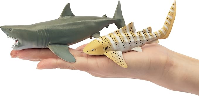 Toymany 6PC Realistic Shark Figurines Set - 5-6" Ocean Animals Bath Toys, Cake Toppers, Gifts for Kids & Toddlers