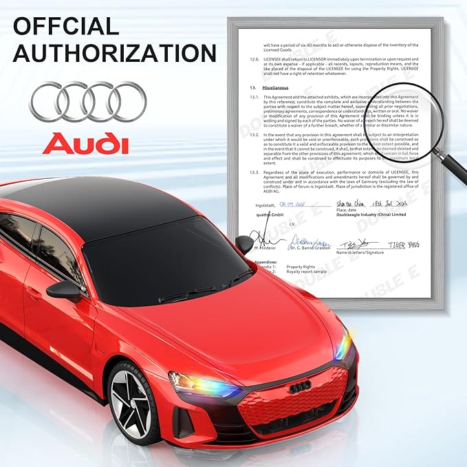 DOUBLE E Audi RS e-tron GT RC Car 1:16 Scale Model New Energy Remote Control Car Automatic Parking Led Lights & Sound Gifts for 6 7 8+ Year Old Boys Girls