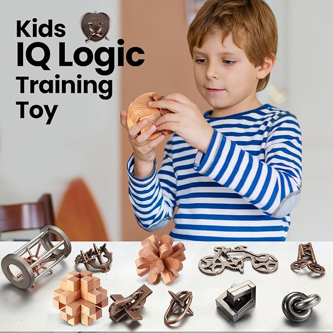 Syhood 14 Pcs Brain Puzzles Teaser for Adults Metal 3D Steel Mind Games Wooden Unlock Interlocking Puzzle Adult Iq Education Toys Smart Toy(Classic)