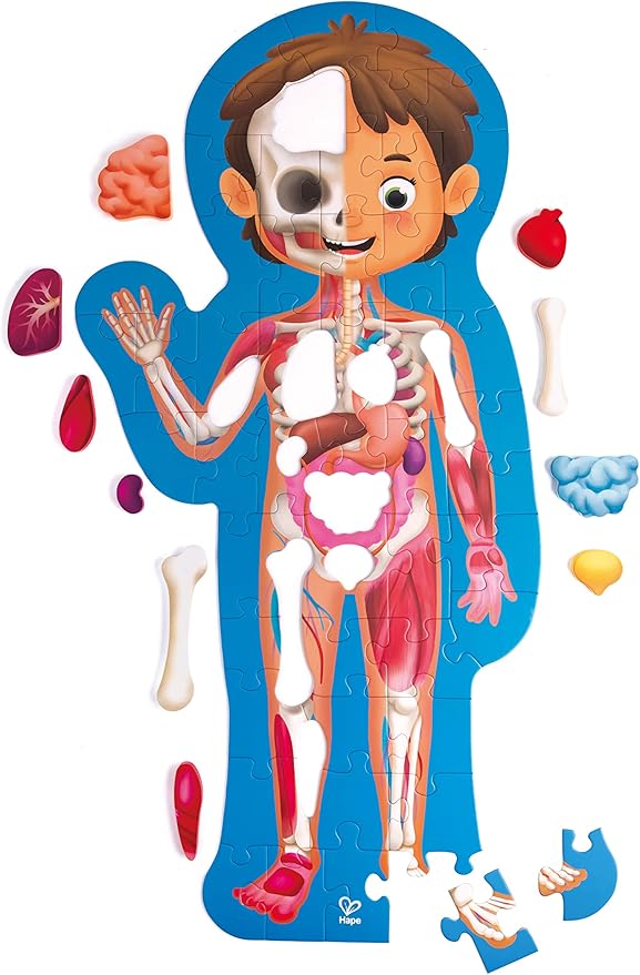 Hape Human Body Puzzle | 60 Oversized Pieces Educational Anatomy Jigsaw, Wooden Organs, for Children 4+ Years