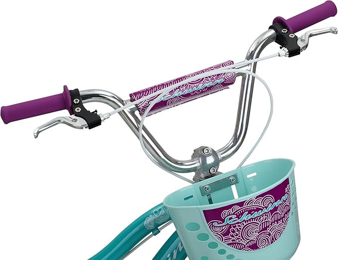 Schwinn Elm BMX Style Toddler and Kids Bike, For Girls and Boys, 18-Inch Wheels, With Training Wheels, Chain Guard, and Front Basket, Recommended Height 42-52 Inch, Teal