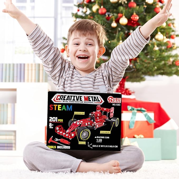 Building Car Metal Model Kits,STEM Building Toys Model Car Kits for Boys 8-12,Erector Set 1:20 Scale Red Racing Car Metal Building Blocks for Kids Boys 8 9 10 11 12-16 Years Old