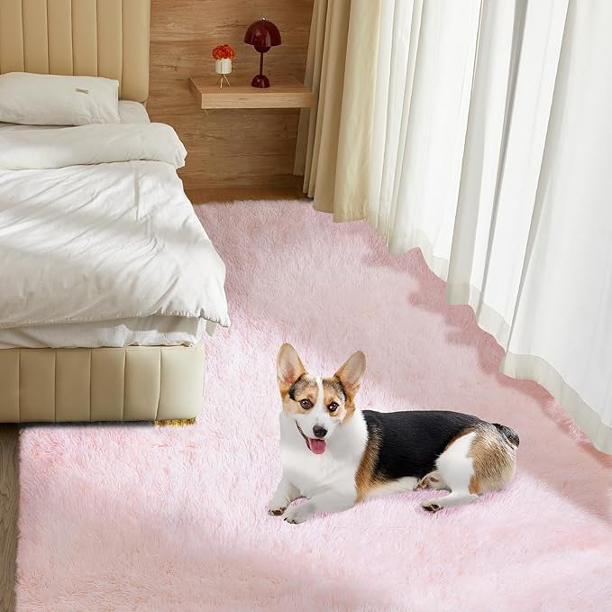 Fluffy Cute Rug for Living Bedroom, Pink Fluffy Soft Plush Area Rugs for Girls Bedroom, Fuzzy Nursery Rug for Baby's Toddler's，Clorful Room Decor for Teenage, Easy-Cleaning, Non Shedding, 3X4