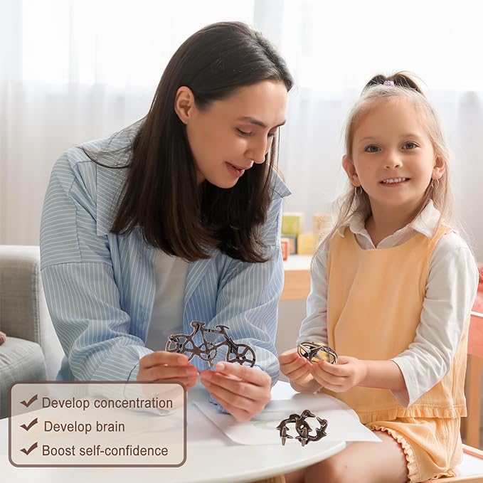 9pcs Metal Puzzle for Adult Disentanglement Puzzles Lock Puzzle Games Set Gift for Adults Teenagers