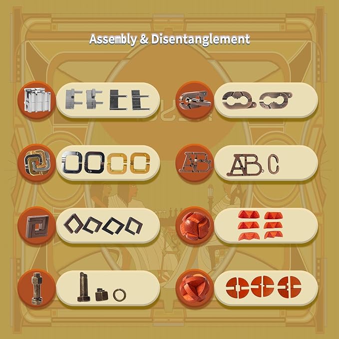 8 Pcs Brain Teaser Puzzles Favor Educational Toys Mind Puzzles Ancient Wooden and Metal Puzzles 3D Unlock Interlock IQ Puzzles Box Game