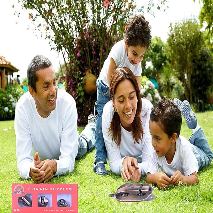 Brain Teaser Puzzle for Adults Puzzles Metal Hole Lock Adult Educational Toy Jigsaw IQ Puzzle (Red)