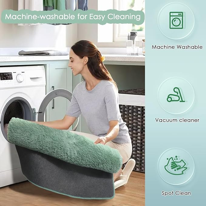 Amdrebio Sage Green Area Rugs for Bedroom Aesthetic, Fluffy Furry Rugs for Nursery, Classroom, Teen Boys, Baby Kids Room Decor, Cute Shaggy Carpet for Living Room Dorm, Fuzzy Plush Light Mint Rug 4x6