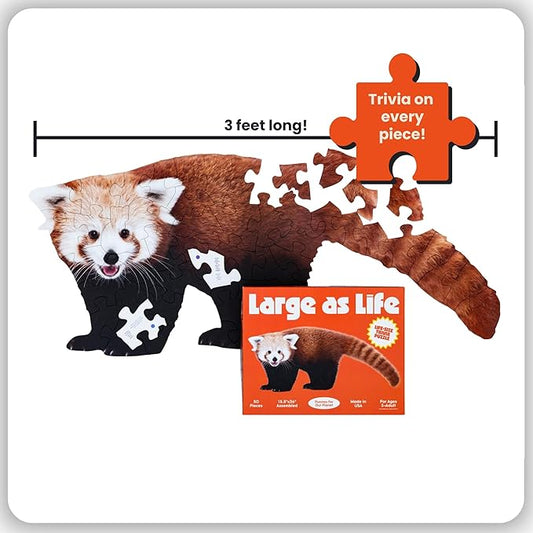 50 Piece Trivia Floor Jigsaw Puzzle - Life Size Red Panda - Educational Trivia On Each Piece – Fun Gift for Kids Enjoyable for Adults, Ages 3+ XL Puzzle Size Assembled 15.5" x 36" - Made in USA