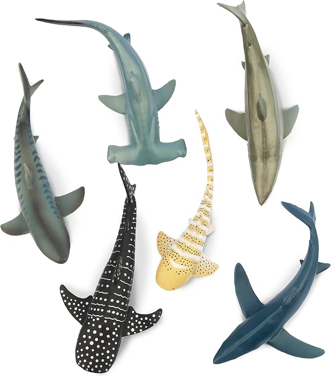 Toymany 6PC Realistic Shark Figurines Set - 5-6" Ocean Animals Bath Toys, Cake Toppers, Gifts for Kids & Toddlers