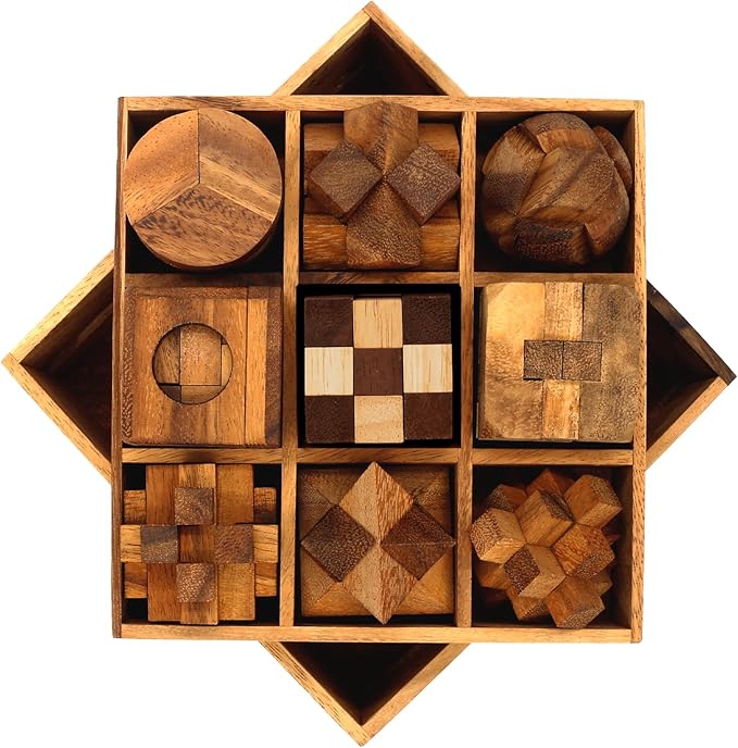 BSIRI 9 in 1 Wooden Brain Teaser Puzzles for Adults Teens and Kids Box Set for All Ages Wood Hard Level 10 Impossible Mind Games 3D Puzzle Sets for Decoration and Mini Toys.