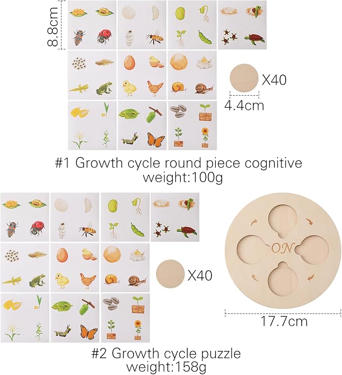 Wooden Life Cycle Tray for Kids - Frogs, Butterflies, Chickens, 40 Pieces - Preschool Learning Activities Puzzle Board, Toddlers Education Kit, Classroom Toys for Boys and Girls