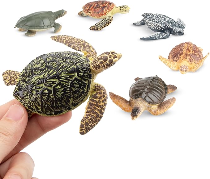 Toymany 6PCS Realistic Sea Turtle Figurines, Plastic Ocean Sea Animals Figures Set Includes of Turtles, Educational Toy Cake Toppers Christmas Birthday Gift for Kids Toddlers
