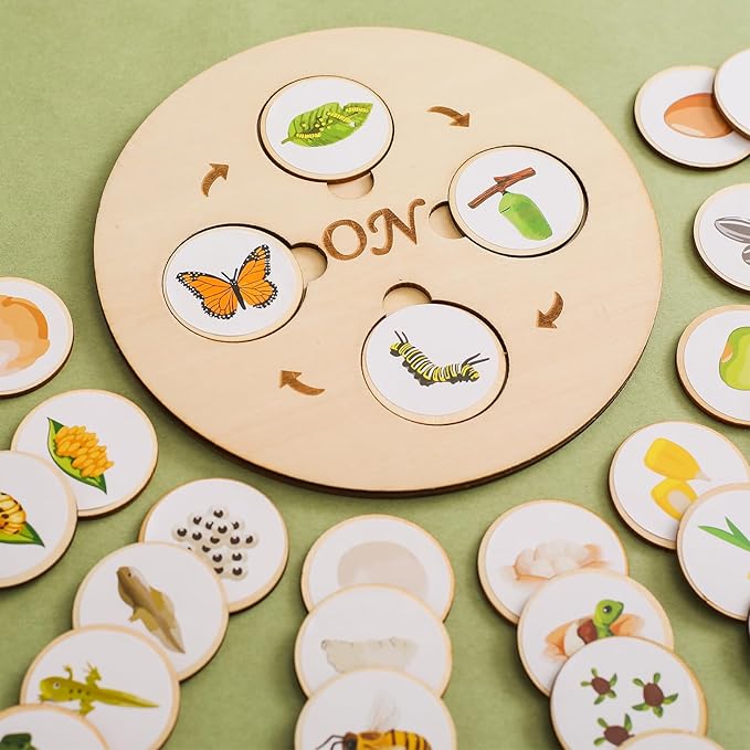 Wooden Life Cycle Tray for Kids - Frogs, Butterflies, Chickens, 40 Pieces - Preschool Learning Activities Puzzle Board, Toddlers Education Kit, Classroom Toys for Boys and Girls