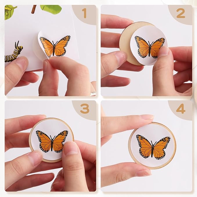 Wooden Life Cycle Tray for Kids - Frogs, Butterflies, Chickens, 40 Pieces - Preschool Learning Activities Puzzle Board, Toddlers Education Kit, Classroom Toys for Boys and Girls