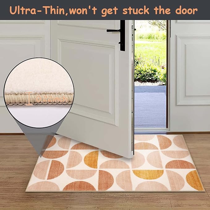 Lahome Boho Rug for Living Room - 4x6ft Multi, Soft, Ultra-Thin, Modern, Washable, Distressed, Non-Shedding Dining Room Rug for Kids, Nursery, Office