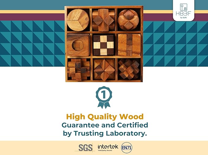 BSIRI 9 in 1 Wooden Brain Teaser Puzzles for Adults Teens and Kids Box Set for All Ages Wood Hard Level 10 Impossible Mind Games 3D Puzzle Sets for Decoration and Mini Toys.