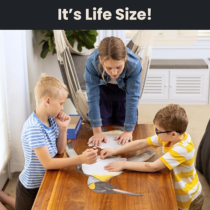 50 Piece Trivia Floor Jigsaw Puzzle - Life Size King Penguin - Educational Trivia On Each Piece – Fun Gift for Kids Enjoyable for Adults, Ages 3+ XL Puzzle Size Assembled 24" x 36" - Made in USA