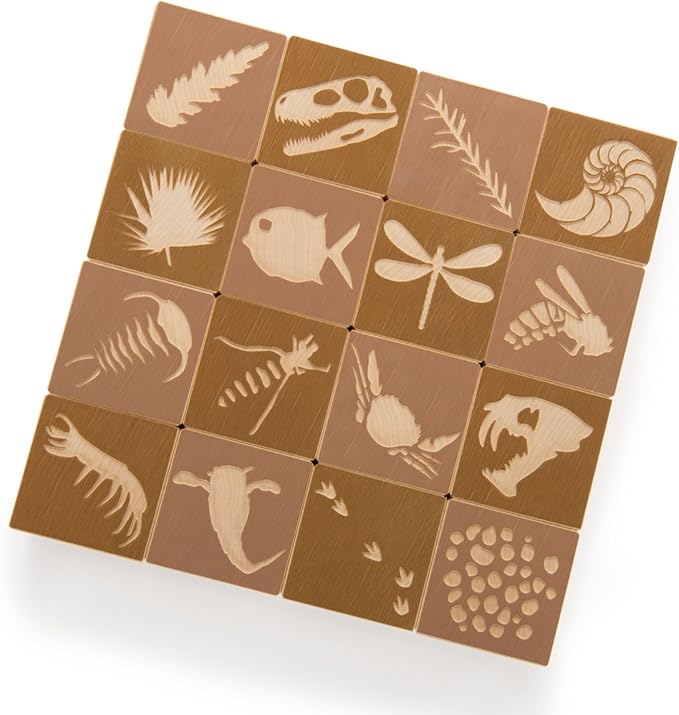 Uncle Goose Fossil Blocks - Made in The USA