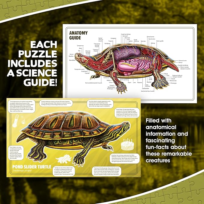 Turtle Animal Anatomy Floor Puzzle | 100-Piece Double Sided Jigsaw Puzzle | Large-Sized, Over 4 Feet Scientifically Accurate Illustration - Fun and Educational Toy for Kids, Toddlers and Families