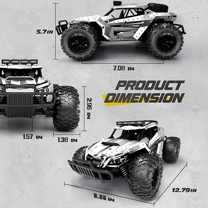 Tecnock RC Car 1/16 Scale Remote Control Car for Boys, High Speed 20 Km/h All Terrains Rc Monster Truck with Two Rechargeable Batteries & Head Chassis Lights Gift Toy for Kids Adults, Silver