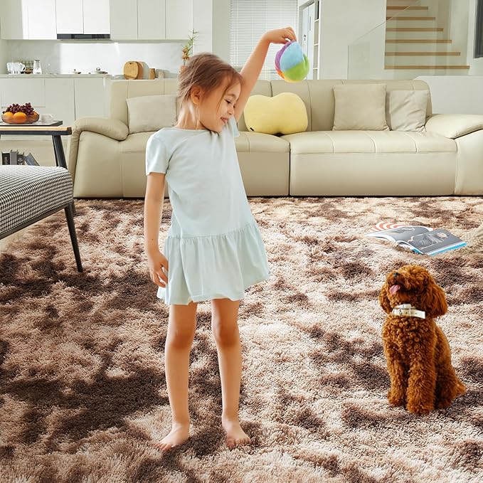 Luxury Shag Area Rug, 3X4 Indoor Ultra Soft Plush Rugs for Living Room, Carpet for Kids Boys Girls Dorm Nursery Home Decor Aesthetic, Upgrade Anti-Skid Durable, Tie-Dyed Coffee
