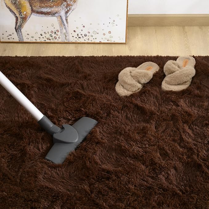 Amearea Premium Soft Fluffy Rug Modern Shag Carpet, 4x5.3 Feet, Fuzzy Shaggy Rugs for Bedroom Living Room Teen Apartment Decor, Comfortable Indoor Furry Dorm Carpets, Brown