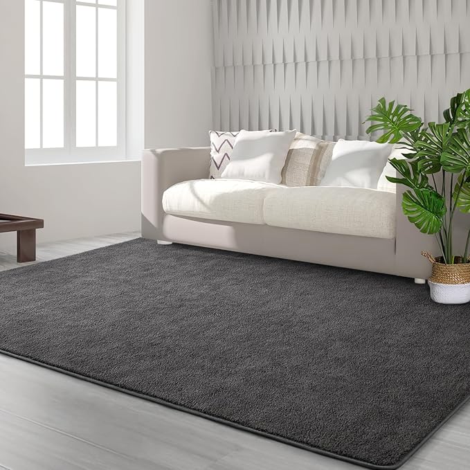 FlyDOIT Area Rugs for Bedroom Living Room, 4x6 Dark Grey Super Soft Comfy Thickened Memory-Foam Indoor Carpets, Modern Aesthetic Minimalist Carpet for Boys Girls Adults Apartment Nursery Home Décor