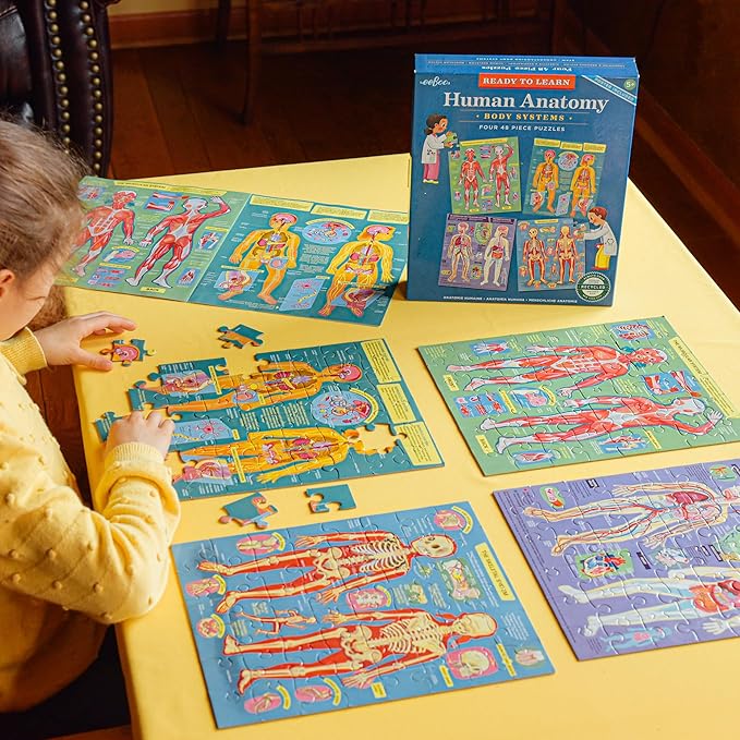 eeBoo: Ready to Learn: Human Anatomy 4-Puzzles - Body Systems Set of 4-48 Piece Jigsaws, Includes Educational Poster, Kids Ages 8+