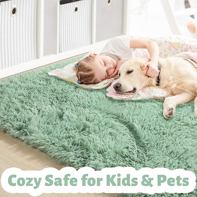 Amdrebio Sage Green Area Rugs for Bedroom Aesthetic, Fluffy Furry Rugs for Nursery, Classroom, Teen Boys, Baby Kids Room Decor, Cute Shaggy Carpet for Living Room Dorm, Fuzzy Plush Light Mint Rug 4x6