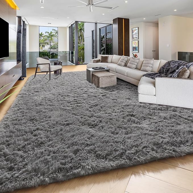 PAGISOFE Grey Washable Area Rugs for Living Room Bedroom Rug 5x8 Rugs Soft Plush Fluffy Rug for Dorm Room Classroom Home Office Nursery Thick Indoor Carpet Fuzzy Modern Farmhouse Rugs Kids Playroom