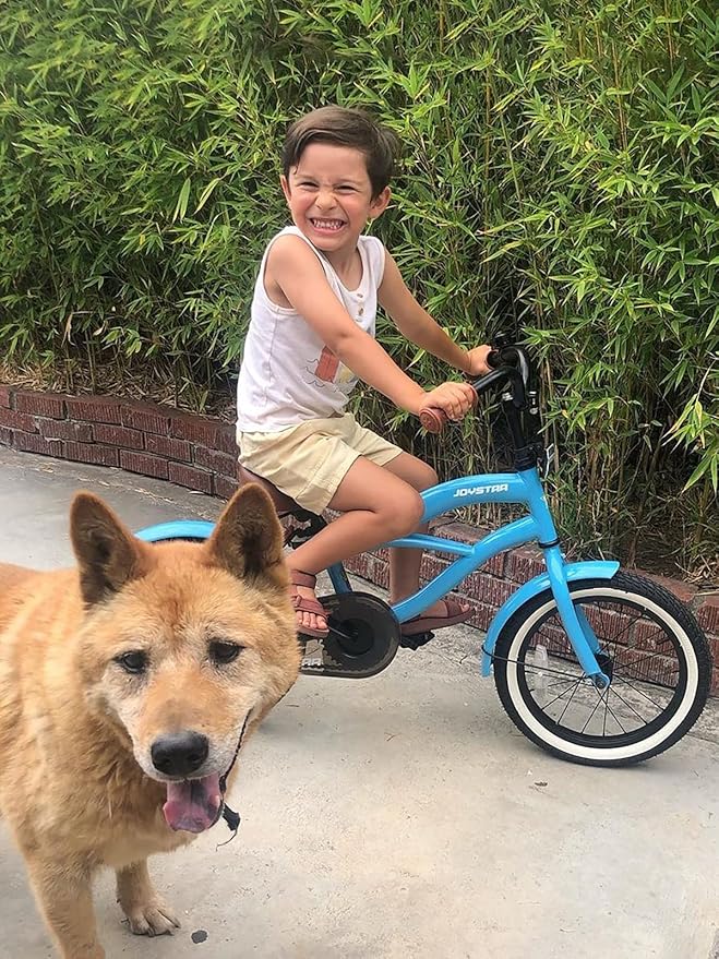 JOYSTAR 12 14 16 Inch Kids Cruiser Bike for Ages 2-7 Years Old Girls & Boys, Children's Bicycle with Training Wheels, Coaster Brake, Fenders & Adjustable Seat